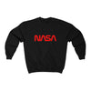 NASA Worm Logo