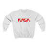 NASA Worm Logo