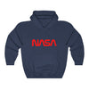 NASA Worm Logo