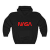 NASA Worm Logo