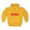 NASA Worm Logo