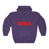 NASA Worm Logo