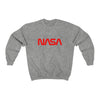 NASA Worm Logo