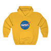 NASA Classic Worm Logo