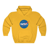 NASA Classic Worm Logo